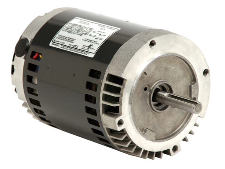 D12CP2PCR, D34CP2PCR,