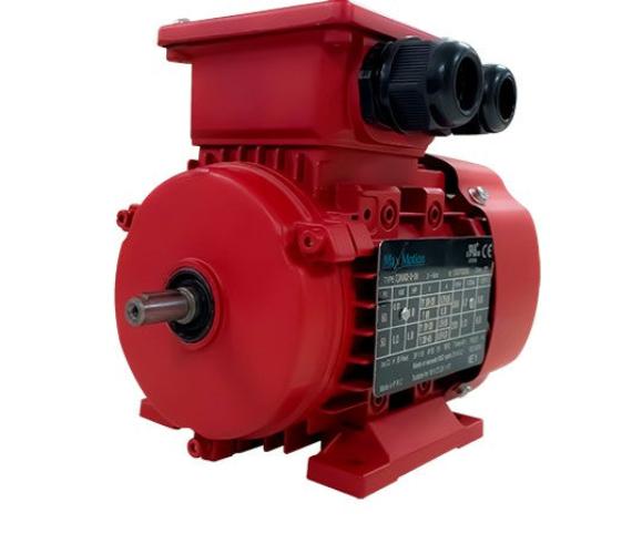 IJA2100L2-4-35, Max Motion, 4 Hp, 1800 Rpm, 575 V, Frame: 100L, Tefc,