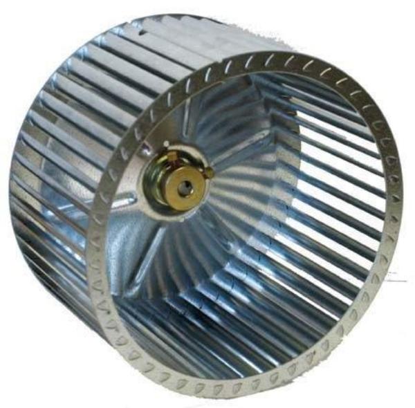 SVA02240