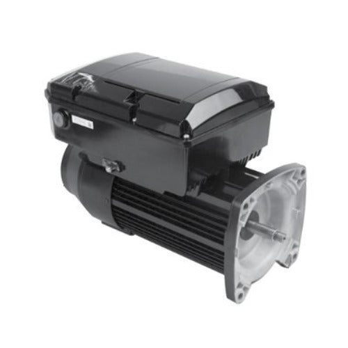 NPTQ165, Us Motors, 1.65 HP, 600-3450 Rpm, 115/230 Volts,Pool Variable Speed