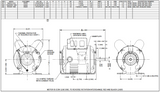 D13CPA2P49