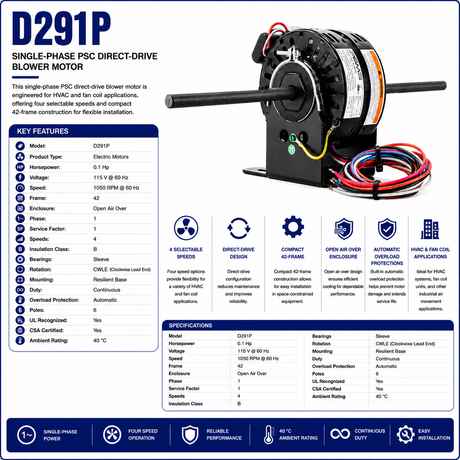 D291P