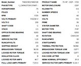 D34CP2PCR