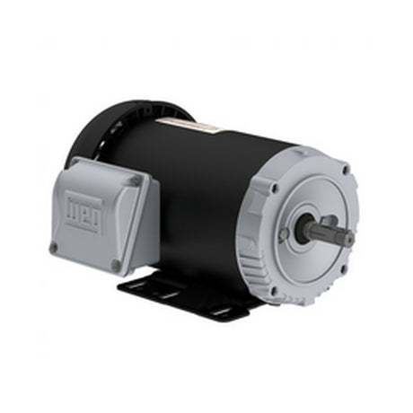 FC002404W01DOE, 2Hp, 1745 RPM, 230/460V, 3Ph, 60-50Hz, Frame 56HC, IP55, REV
