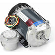 G651, 0.33 HP, 1725 RPM, 115/208‑230 V, 1 Ph, 60 Hz, EPFC, Frame 56, 056C17G5315 - EXPLOSION PROOF MOTORS - LEESON - electric motors - [product_tags]- motor electric - moteur électrique - moteurs - drive - replacement - venmar - hvac - méchoui - capacitor - condensateur - fan
