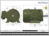 MPP-19