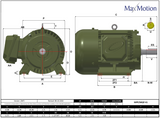 MPP-41