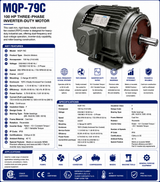 MQP‑79C, 100 Hp, 890 RPM @ 60 Hz / 735 RPM @ 50 Hz, 230/460 V @ 60 Hz / 190/380 V @ 50 Hz, TEFC, Frame 440/5T