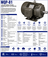 MQP‑81, 125 Hp, 3600 RPM, 460 V, 3 Ph, 60 Hz / 380‑415 V, 3 Ph, 50 Hz, TEFC, Frame 444TS