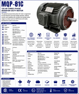 MQP‑81C, 125 Hp, 3600 RPM, 460 V, 3 Ph, 60 Hz / 380‑415 V, 3 Ph, 50 Hz, TEFC, Frame 444TS