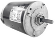 OKR1096N