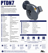 PTDN7