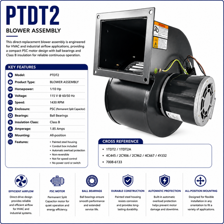 PTDT2