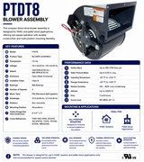 PTDT8
