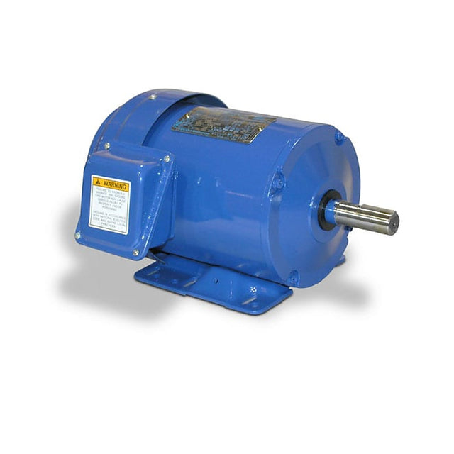 RF00565
