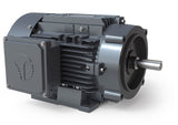 BLA0024DP-C, Techtop, 2 Hp, 1740 Rpm, 208-230/460V, Frame: 56C, TEFC, 