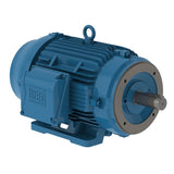 CT020502NPW22, 20 Hp, 3520 Rpm, 575V, Fr: 256T,Tefc, W22, 3Ph,