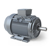 MTP250MA2D, 75 Hp, 3600 Rpm, 230/460V, Fr: 250M,B3. 3Ph,TEFC, Premium,