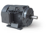 GRA0024F-01, 2 Hp, 1760 Rpm, 600V, Frame: 143/5T. Tefc, Premium,