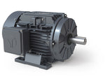 GRA0024D-01, 2 Hp, 1760 Rpm, 230/460V, Frame: 143/5T. Tefc, Premium,