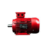 IJA160L2-2-59, 30 HP, 3600 RPM, 575V, FRAME 160L, TEFC, MAXMOTION - METRIC MOTOR - MAXMOTION - electric motors - [product_tags]- motor electric - moteur électrique - moteurs - drive - replacement - venmar - hvac - méchoui - capacitor - condensateur