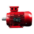 MAXMOTION, IJA632-4-35, 0.25 hp, 1800 RPM, FR 63, 575V,  ST63C2-575, LAFERT - METRIC MOTOR - MAXMOTION - electric motors - [product_tags]- motor electric - moteur électrique - moteurs - drive - replacement - venmar - hvac - méchoui - capacitor - condensateur