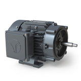 JEP0022FP, Techtop, 2 Hp, 3500 RPM, 575V, Fr:56J, Jet Pump, 3 Ph,TEFC,