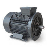 MTP132MB6F-B35-01,Techtop,5.5 Kw,7.5Hp,1170 Rpm,Fr:132M,Tefc,D-Flange,