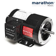 Y555, Marathon, 056H17T5311, 1/2 Hp, 1725 Rpm, 575V, 56CZ, TENV, BLACKMAX - BLACKMAX MOTORS - MARATHON - electric motors - [product_tags]- motor electric - moteur électrique - moteurs - drive - replacement - venmar - hvac - méchoui - capacitor - condensateur