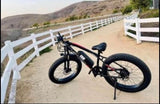 Fat bike Electric, Motor 500W,48V Battery, Disc brake,Shimano 7 Speed,