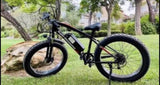 Fat bike Electric, Motor 500W,48V Battery, Disc brake,Shimano 7 Speed,